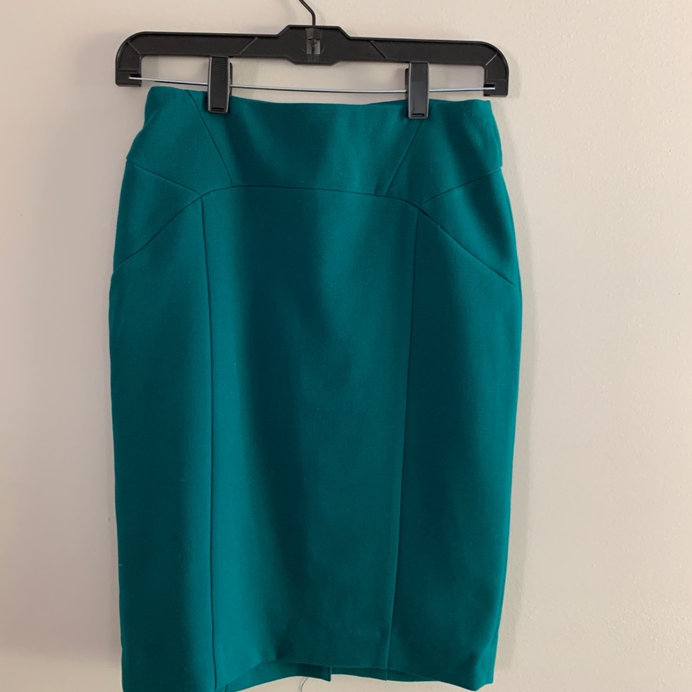 The Limited Skirt